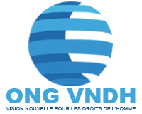 logo ong vision nouvelle